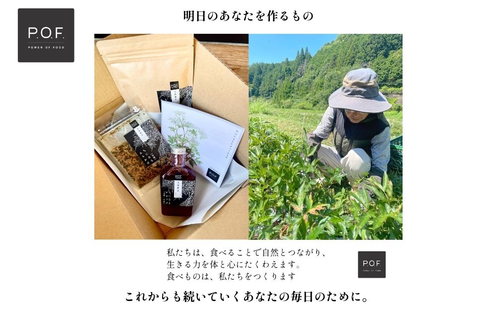 大和当帰葉商品「ちになるシリーズ」血活セット ／POWER OF FOOD ふるさと納税 芍薬 シロップ 瓶 ガラス瓶 国産 食材 炭酸 大和当帰葉 有機 お湯割り 甜菜糖 ハチミツ ふりかけ お茶 