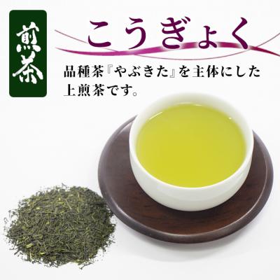 ふるさと納税 東白川村 栽培期間中 農薬不使用! 煎茶 こうぎょく 100g 常磐園 日本茶 緑茶 煎茶 |  | 01