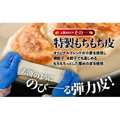 ふるさと納税 苫小牧市 ぎょうざの宝永 しそ餃子セット(宝永餃子15個入2袋&しそ餃子15個入×2袋)合計1.5kg |  | 01