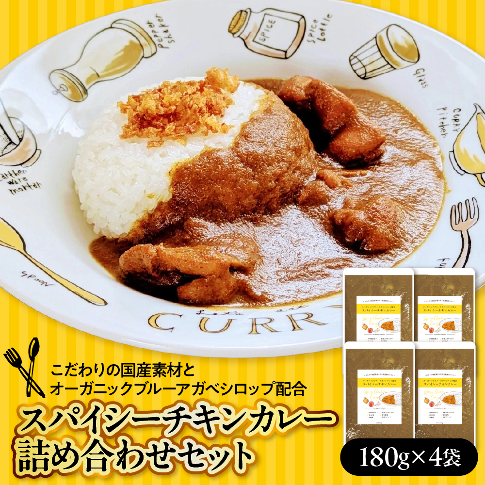 ブルーアガベ　スパイシーチキンカレー詰め合わせセット