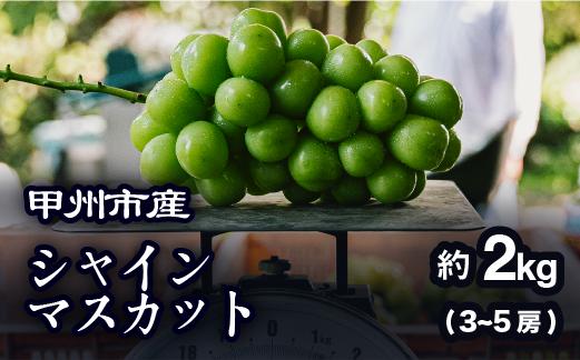 
            【農家厳選！】甲州市産 シャインマスカット 約2kg【2025年発送】（PJ）B15-144 【シャインマスカット 葡萄 ぶどう ブドウ 令和7年発送 期間限定 山梨県産 甲州市 フルーツ 果物
          