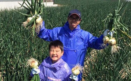 淡路島産玉ねぎ 10kg