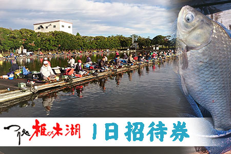 ～つり処椎の木湖～1日ご招待券【へら鮒釣り】