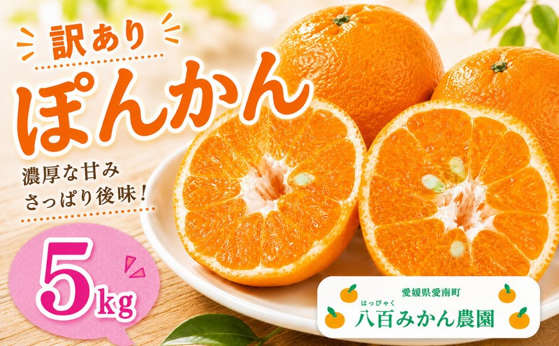
                  【先行予約：2027年1月下旬～発送】訳あり ポンカン 5kg 7000円 ぽんかん みかん mikan 蜜柑  ミカン 家庭用 産地直送 国産 農家直送 防腐剤不使用 糖度 期間限定 数量限定 特産品 ゼリー ジュース アイス 人気 限定 甘い 果実 果肉 フルーツ 果物 柑橘 先行 事前 予約 受付 美味しい おいしい ジューシー  サイズ ミックス 八百みかん農園 愛南町 愛媛県
                