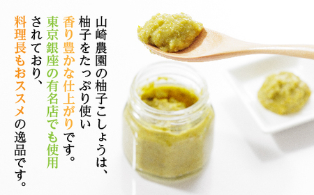 柚子こしょう 辛口 800g 赤 柚子胡椒（ゆずこしょう） _b-468