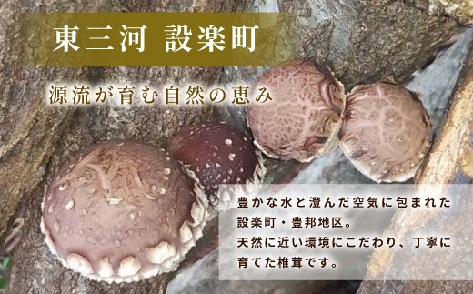 無農薬 原木栽培 肉厚 とよくに清流 ほししいたけ 80ｇ しいたけ 椎茸 シイタケ 原木椎茸 野菜 きのこ 無農薬栽培 干ししいたけ 乾燥しいたけ 干し椎茸 バーベキュー お試し 煮物 -244