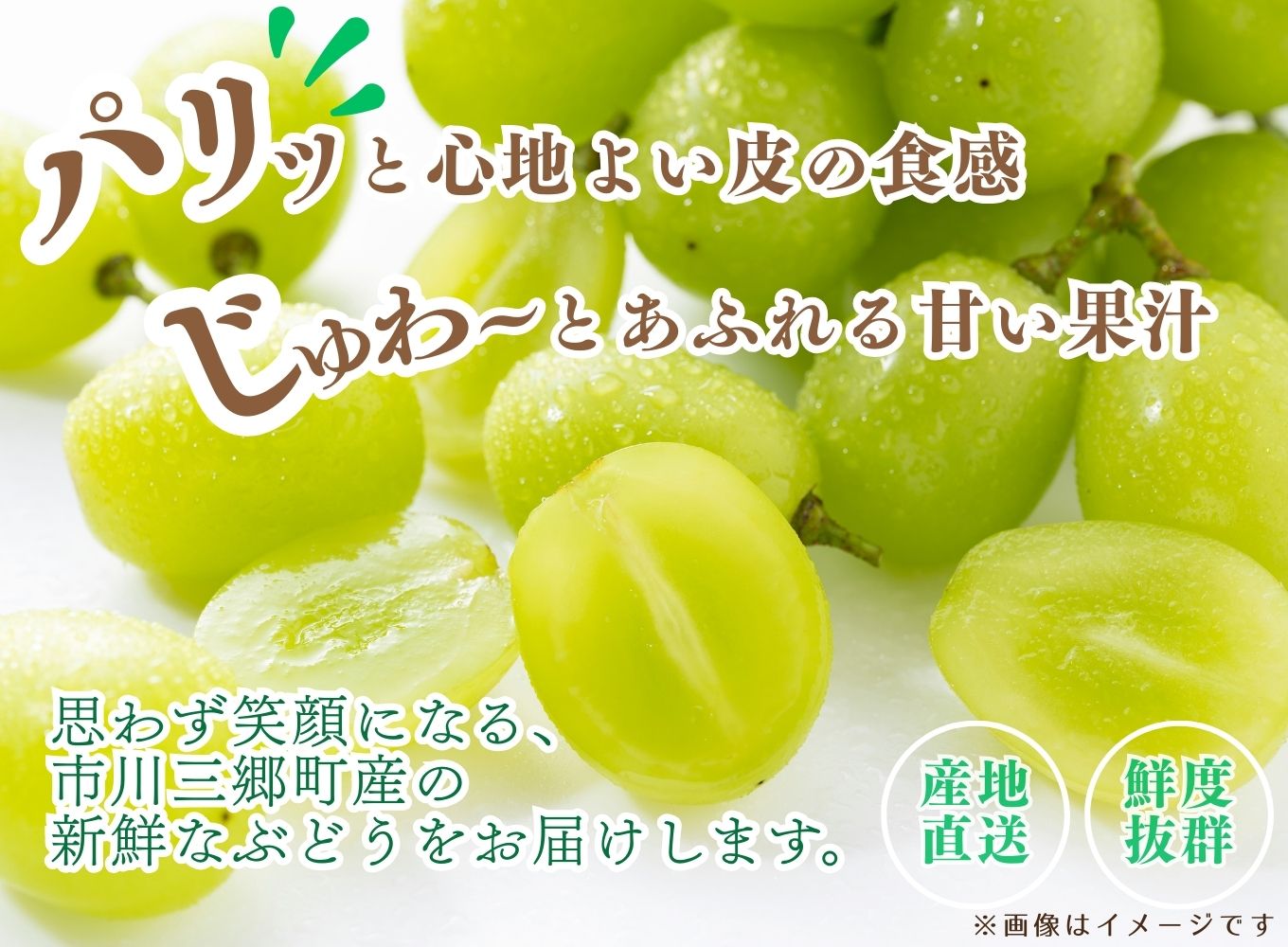 【2025年9月上旬から発送！】山梨県産シャインマスカット　１kg箱(2房程度)　丹澤農園[5839-1994]