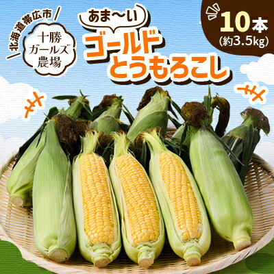 【ふるさと納税】先行予約【十勝ガールズ農場】直送 朝もぎつぶつぶ「あま～いゴールドとうもろこし」10本【配送不可地域：離島】【1462030】