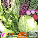 【ふるさと納税】 瀬戸内「旬」のお野菜セット 7～11品目程度の詰合せ 野菜 農薬 化学肥料 除草剤不使用 岡山 M’s farm　【 野菜の詰め合わせ 味が濃い 新鮮 旬 旬の野菜 】　お届け：2024年4月下旬～2025年1月下旬