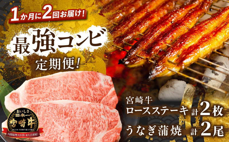 
≪定期便≫＼1か月に2回お届け!!／宮崎牛ロースステーキ×うなぎ蒲焼★最強コンビ 肉 牛肉 鰻 魚介 国産_T999-002
