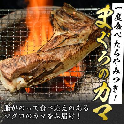 ふるさと納税 佐伯市 マグロのカマ (計約2kg・400g×5P) |  | 02