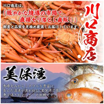ふるさと納税 境港市 朝獲れ鮮魚ボックス「美保湾の恵み」(計2.5kg以上) |  | 01