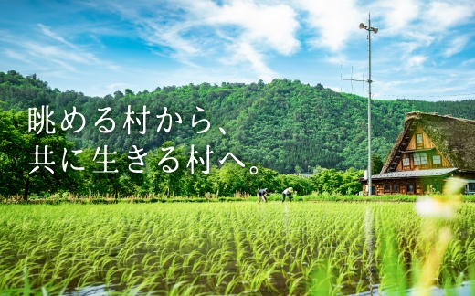 
                  白川郷コシヒカリ 5kg 精米 白米 常温 ｜ コシヒカリ 5kg 米 5kg 米 5kg コシヒカリ コシヒカリ 米 お米 精米 白米 ごはん ご飯 コシヒカリ 5kg 米 5キロ 白川村 コシヒカリ 米 お米 コシヒカリ 米 コシヒカリ 5kg ごはん ご飯 コシヒカリ 5kg 世界遺産 白川郷 ギフト 贈答 プレゼント [S160]
                