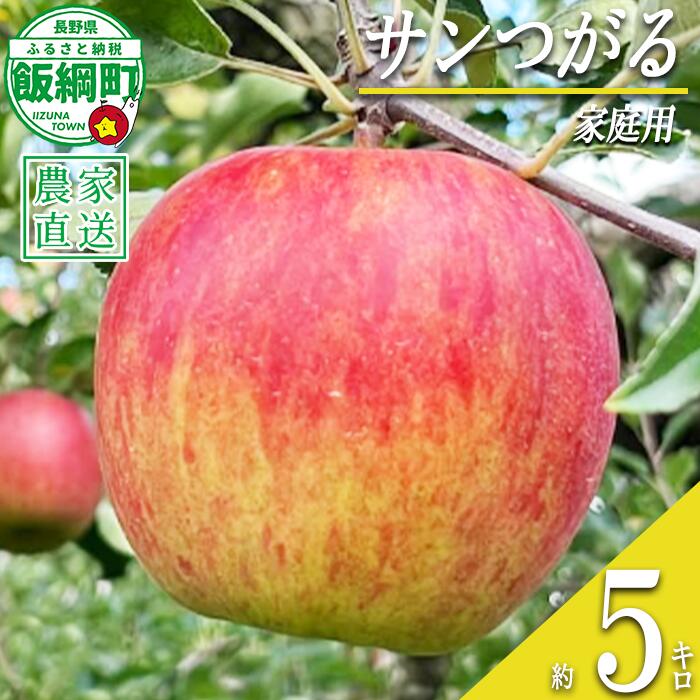 【ふるさと納税】 りんご サンつがる 5kg 家庭用 若林農園 沖縄県への配送不可 〔 果物 フルーツ 林檎 長野 予約 農家直送 5キロ 15000円 〕【令和8年度収穫分】 発送：2026年8月下旬〜