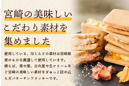 【先行受付】≪2024年8月発送≫宮崎バターサンド 詰合せ【10個入】手造りで製造【数量限定】
