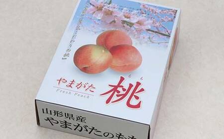 【先行受付（令和7年度発送）】山形もぎたて白桃『硬めの桃』品種おまかせ3kg ギフト箱入り FSY-2038