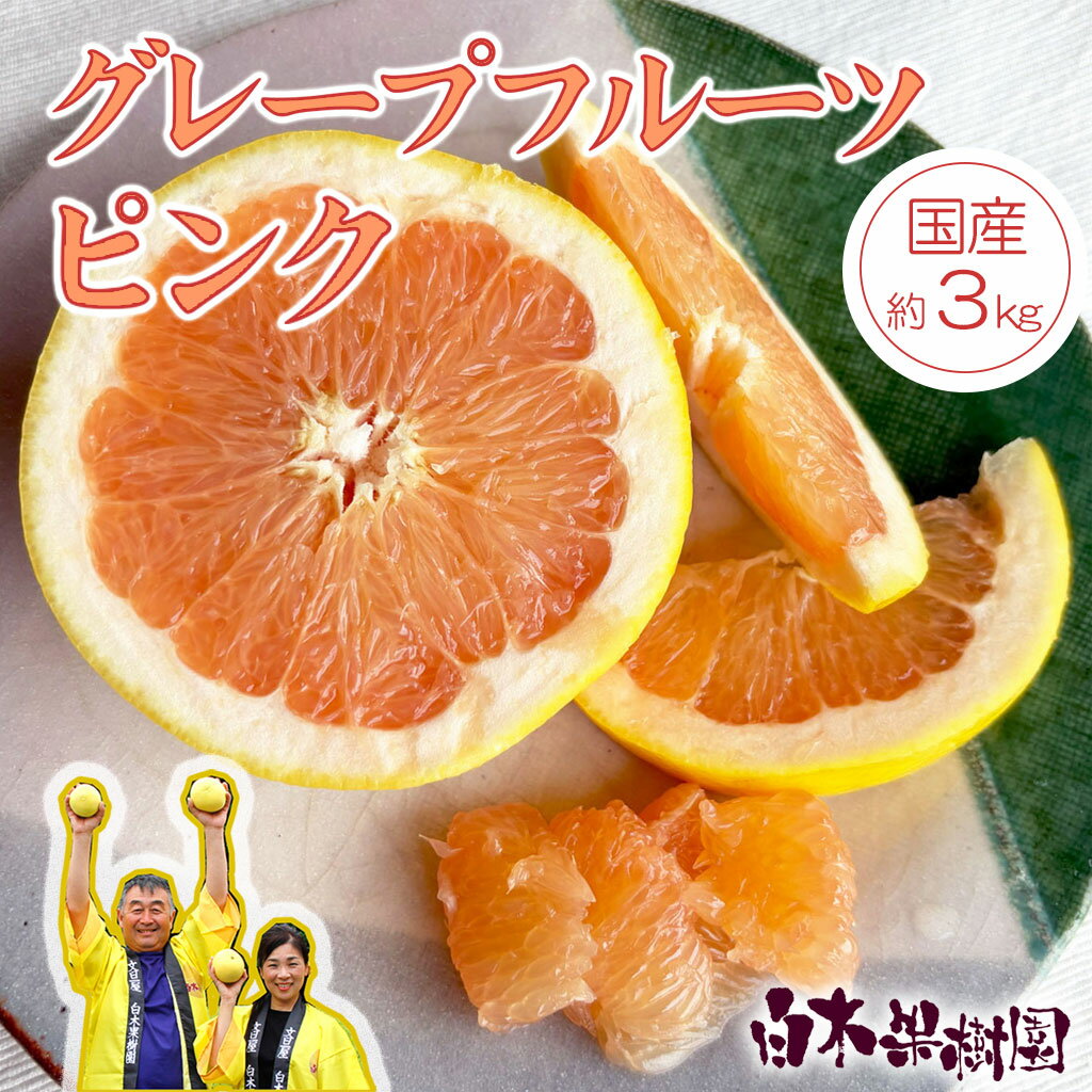 【ふるさと納税】＜白木果樹園＞先行予約　国産グレープフルーツ　ピンク　約3kg　果物　柑橘　フルーツ　みかん　高知県土佐市　お取り寄せ 産地直送　白木果樹園 常温 期間限定 高知県土佐市 お取り寄せ 産地直送 白木果樹園 ふるさとのうぜい 故郷納税 返礼品