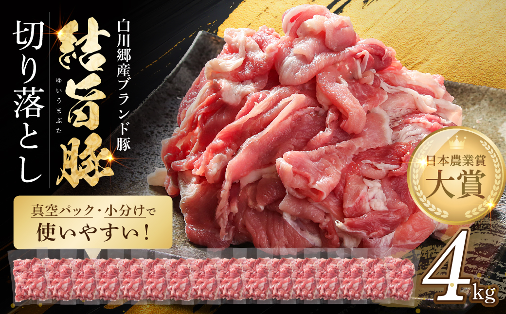 結旨豚 ウデ又はモモ 切り落とし 250g×16p（計4kg） トレーなし 簡易包装  ｜ 肉 お肉 豚肉 国産 切り落とし 切落し 薄切り 訳あり 白川郷 岐阜県 白川村 ブランド豚 人気 おすすめ ギフト 飛騨高山ミート