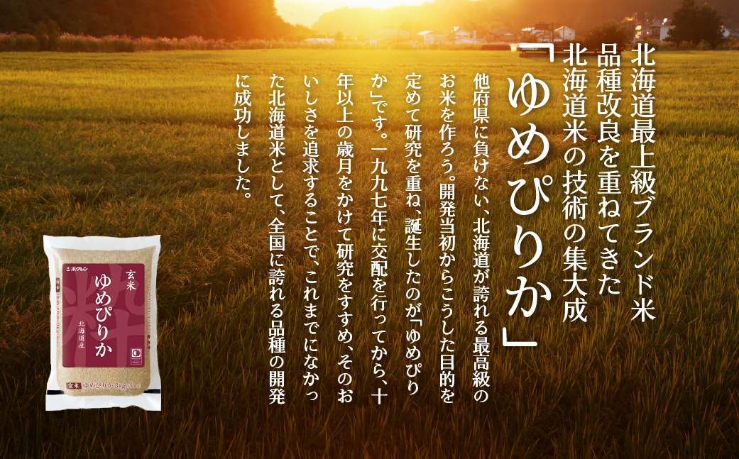 【新米】【令和7年産米】【6ヶ月定期配送】（玄米12kg）ホクレンゆめぴりか（3kg×4袋） SBTD178