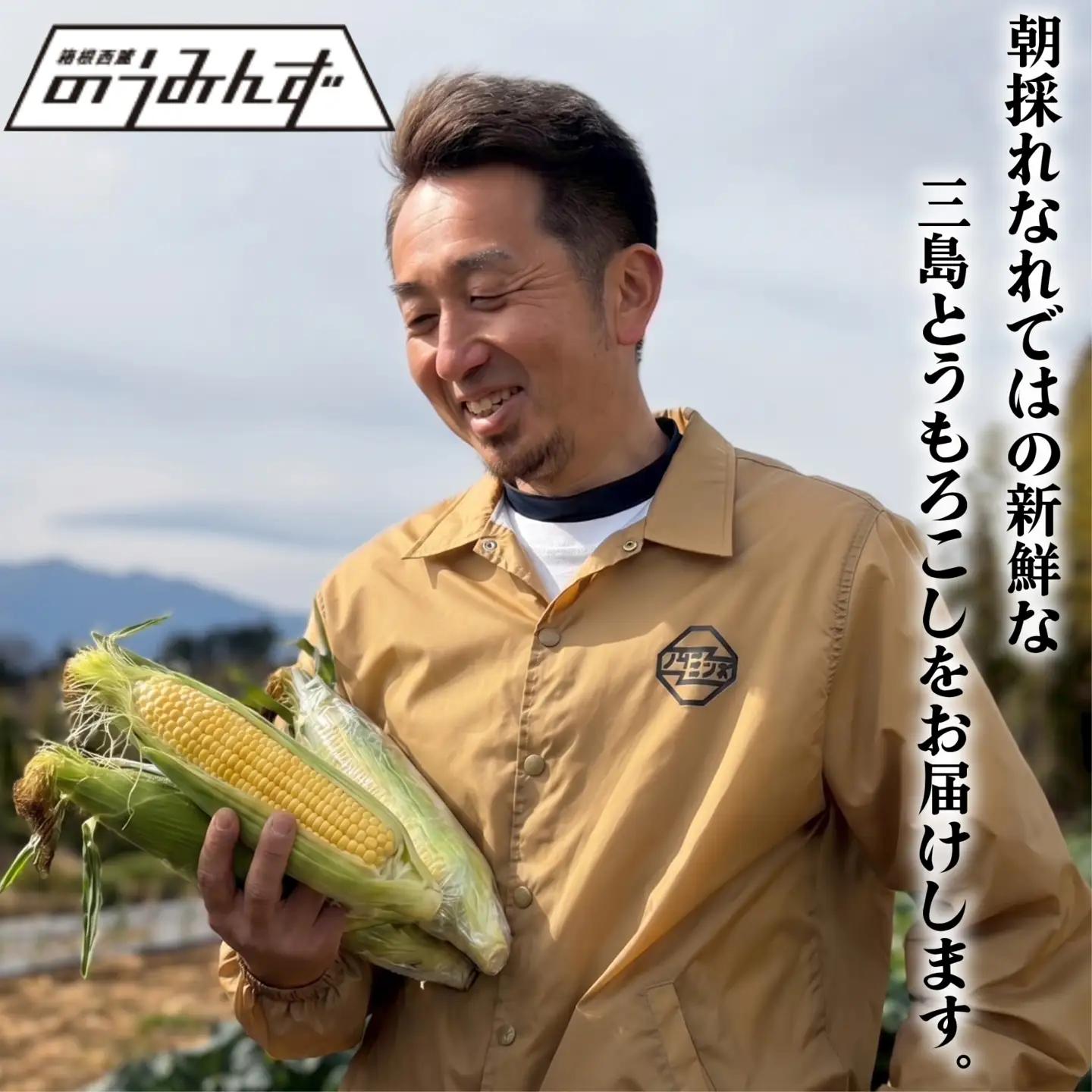 三島 とうもろこし ゴールドラッシュ 8本～10本 とうもろこし