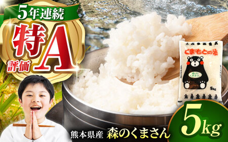 令和7年産森のくまさん白米5kg 熊本白米ZBI032