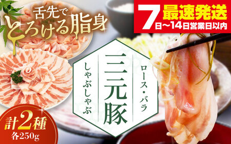 三元豚 しゃぶしゃぶセット 計500g（ロース・バラ） だし・昆布ナシ 《喜茂別町》【平田牧場】しゃぶしゃぶ しゃぶしゃぶ しゃぶしゃぶ しゃぶしゃぶ  しゃぶしゃぶ  [AJAP066] 9000 9000円