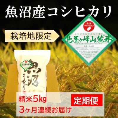 ふるさと納税 魚沼市 【毎月定期便】【魚沼コシヒカリ】鳥屋ヶ峰山麓米5kg(精米) 3ヶ月連続全3回