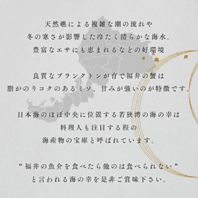 ふるさと納税 若狭町 訳あり茹で越前ガニ　500g以上×1杯(脚折れ) |  | 03