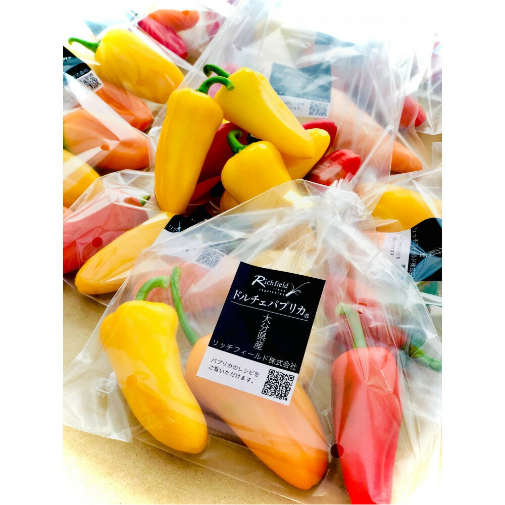 【ふるさと納税】カラフル スナックパプリカ・カラーMIX (1袋約100g) | 野菜 やさい 食品 人気 おすすめ 送料無料