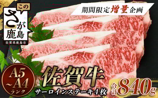 【期間限定増量企画】 佐賀牛 サーロインステーキ 4枚 (合計840g) A4等級以上 黒毛和牛 和牛 肉 牛肉 ステーキ a5 a4 佐賀牛 サーロイン 佐賀県 鹿島市 F-54