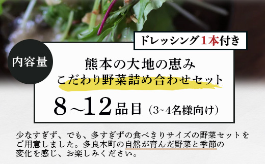 熊本の大地の恵み【 野菜で野菜を食べる 】旬のこだわり 野菜 ＆ドレッシング セット (3〜4名様向け) 野菜 獲れたて 8～12品 直送 旬 新鮮 セット 野菜ドレッシング 詰め合わせ 詰合せ 熊本