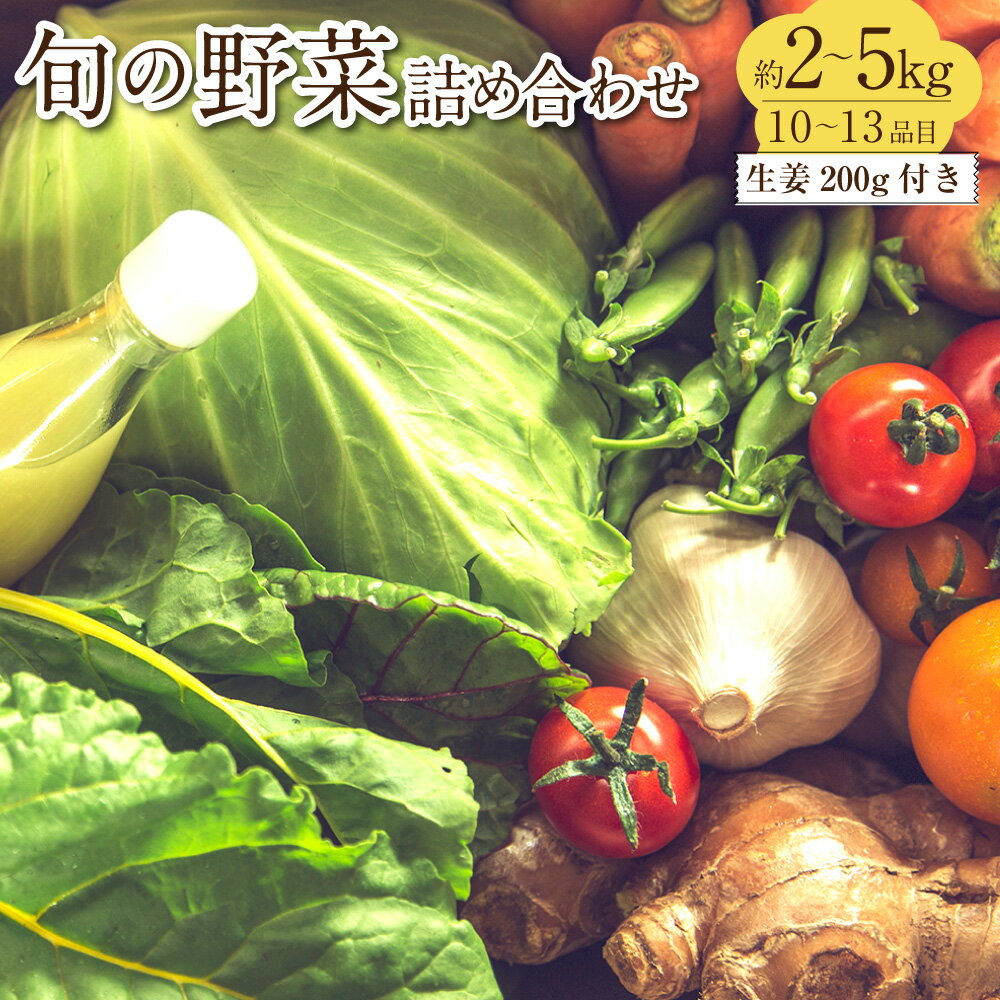 【ふるさと納税】旬の野菜の詰め合わせと栽培期間中 農薬不使用の生姜200g付き 野菜 お野菜 旬 季節の野菜セット 新鮮 安心安全 産地直送 詰め合わせ やさい 自然 自然派 お取り寄せ 高知県 香美市 送料無料