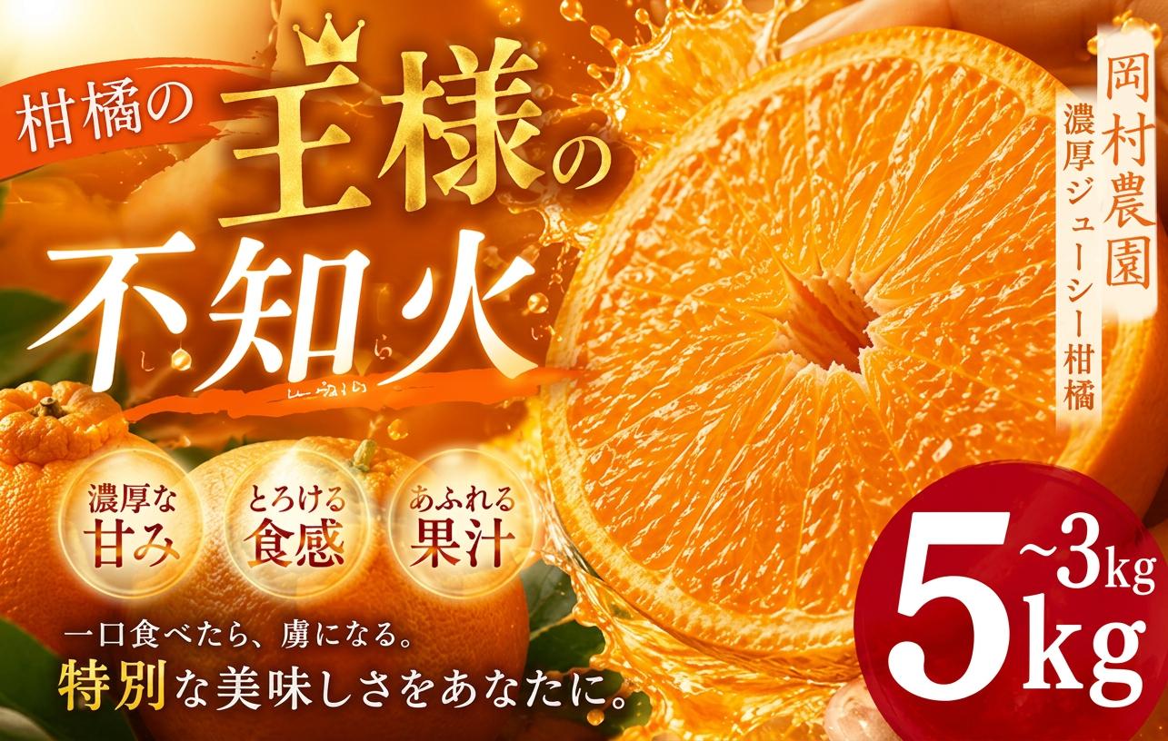 
                  【選べる容量】 岡村農園直送 不知火 3kg～5kg | 果汁たっぷりの 完熟 デコポン 数量限定 期間限定 農家直送 大人気 しらぬい 柑橘 デコポンと同品種 傷ありデコポン ふるさと納税 果物 フルーツ 人気 ランキング 上位 みかん ミカン 傷あり 規格外 大小混合 ふるさと納税デコポン ふるさと納税不知火 ふるさと納税果物 ふるさと納税フルーツ 8000円 10000円 高知県 室戸市
                