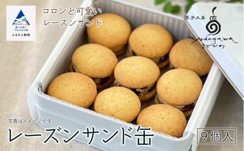 レーズンサンド ９個 （缶入り） 石川県 小松市 北陸