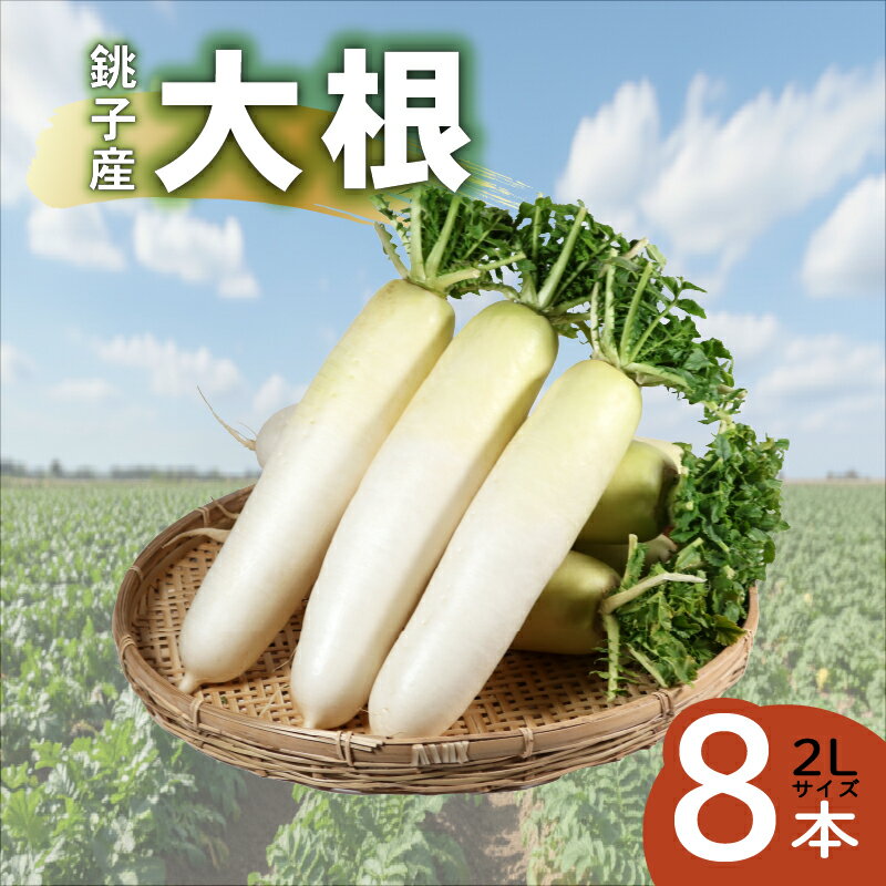 【ふるさと納税】 大根 8本 だいこん 旬の食材 やさい 野菜 大容量 新鮮 フレッシュ野菜 産地直送 農家直送 大根サラダ 大根おろし 漬物 たくあん漬け 味噌汁 煮込み 料理 大根ステーキ おでん なべ 鍋 鍋料理 和食 日本料理 送料無料 ふるさと納税 千葉県 銚子市 勘兵衛