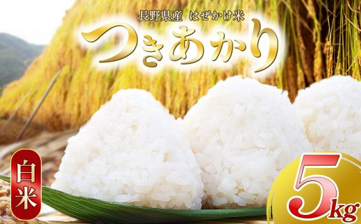 【ありがとう農縁 福島】【令和7年産】白米 自然栽培つきあかり5㎏ 長野県産 | 米 つきあかり 白米 精米 お米 栽培期間中 無農薬 自然栽培 安心 安全 塩尻市 長野県 信州