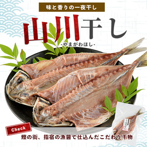 漁師が作った美味しい山川干物セット 指宿山川水産 IB035-021 干物 セット みりん干し 一夜干し 腹骨魚醤干し