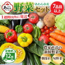 【ふるさと納税】【12ヶ月連続お届け】農家直送 旬の野菜セット 7品目以上 1箱 ／ 定期便 12回 季節 野菜 ボックス BOX セット セレクト 農家 おまかせ 多品目 旬 詰め合わせ 根菜 葉物