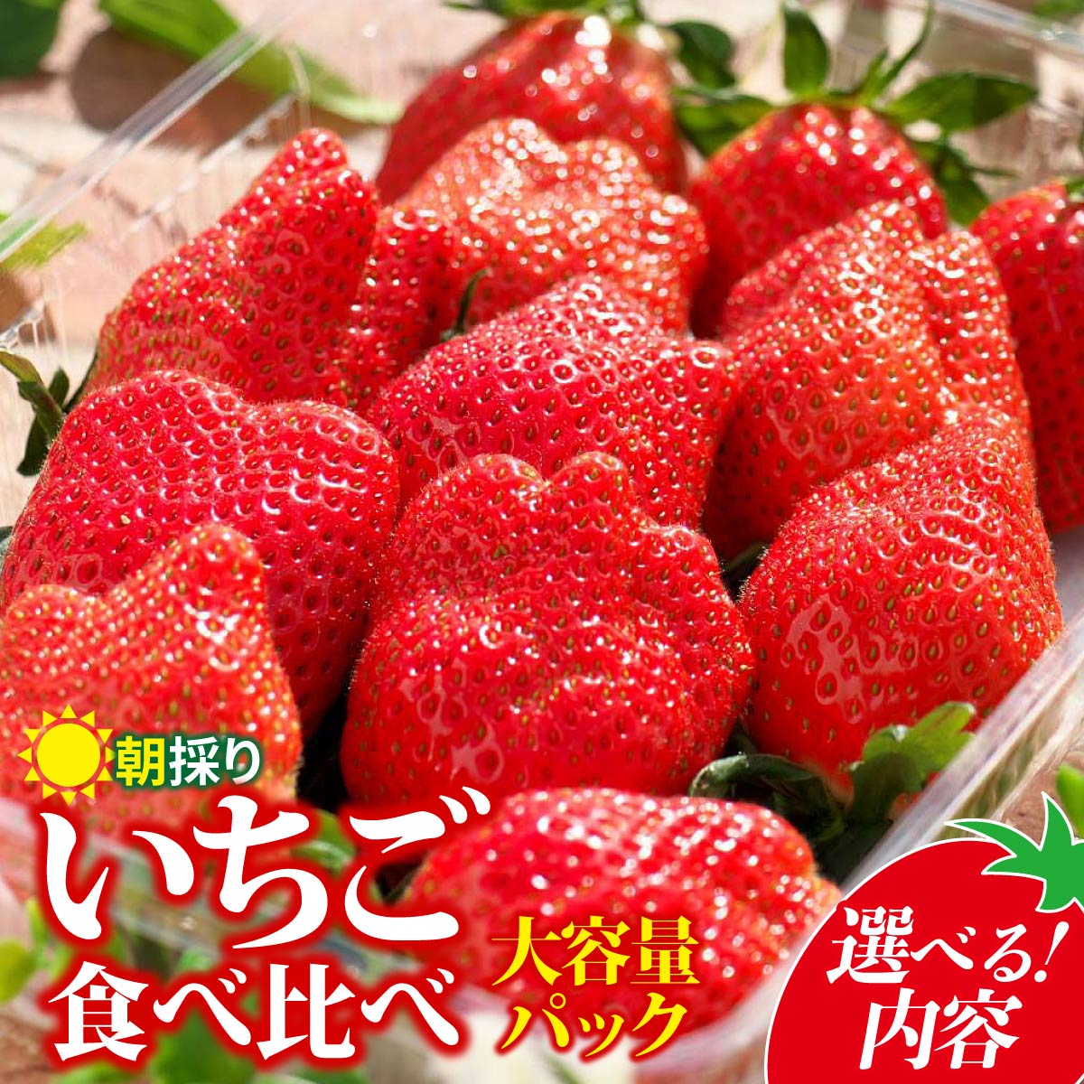 【ふるさと納税】いちご 食べ比べ 500g 2パック 4パック 選べる内容 【2026年全国いちご選手権入賞】 | 朝採れ イチゴ 苺 高品質 たっぷり 新鮮 完熟 旬 高級 産地直送 甘い あまい 人気 高評価 高糖度 ごほうび プレゼント 朝採れ やよいひめ ななか 贈答用 群馬県 前橋市