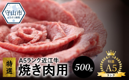 
A5ランク　特選近江牛　焼き肉用　500g入
