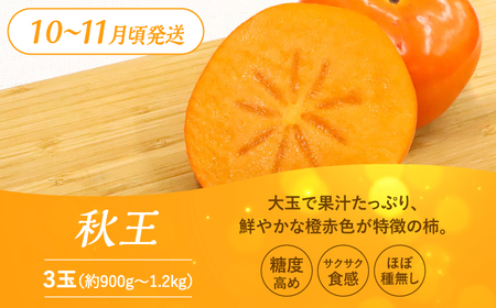 【全3回定期便】九州・福岡もぎたて フルーツ定期便 C＜一般社団法人地域商社ふるさぽ＞那珂川市 定期便 フルーツ定期便 あまおう定期便 苺 あまおう  いちご フルーツ 柿 いちじく イチジク 果物 