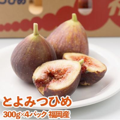 ふるさと納税 桂川町 福岡産ブランドいちじく・とよみつひめ約300g×4パック(桂川町)