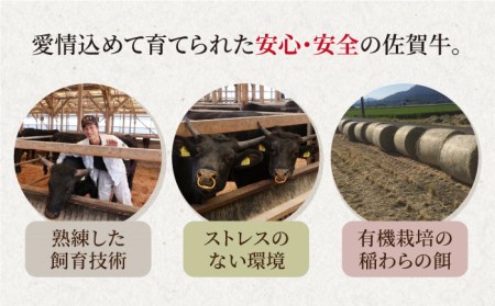 【全3回定期便】佐賀牛 A5 牛すじ（300g×2パック） HAD131 
