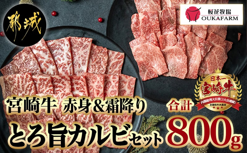 
                  宮崎牛赤身＆霜降り【とろ旨カルビセット】800g_22-6506_(都城市) 牛肉 牛もも焼肉用(500g) 牛肩ロース焼肉用(300g) 合計800グラム 焼き肉用カット 鉄板焼き BBQ 牛モモ肉 霜降り肉 ギフト 贈答用
                