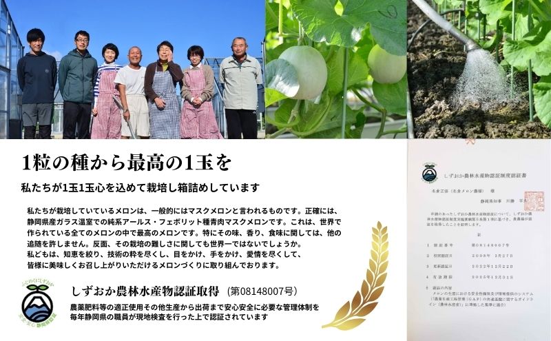 【先行予約】温室育ちのマスクメロン 春果 特選 1玉 人気 