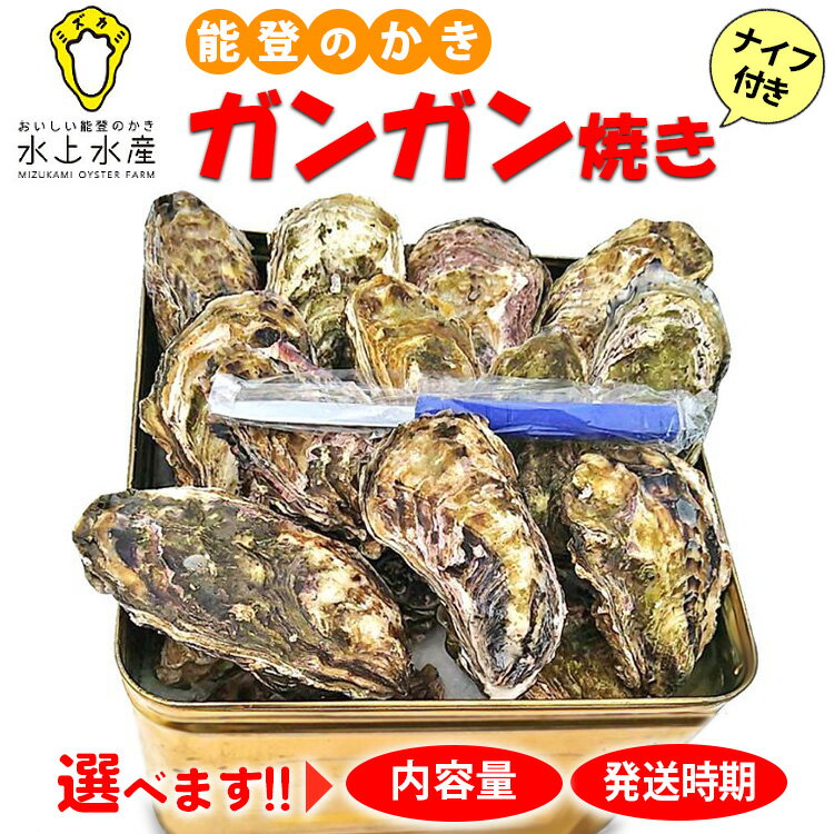 【ふるさと納税】【能登半島地震復興支援】＼選べる内容量・発送時期／水上水産の能登のかき ガンガン焼き（ナイフ付）｜石川県 七尾市 能登 ※離島への配送不可 ※2026年1月上旬～4月下旬頃に順次発送予定