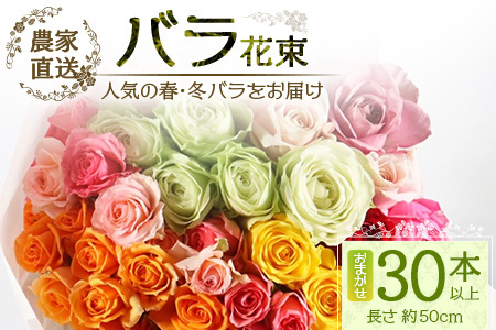 【先行予約】【人気の春・冬薔薇をお届け】ばら農家直送！バラ花束30本以上お届け(色はおまかせ) 【ギフト対応可】TB-16│ローズ 新鮮 花 フラワー 花束 ばら 薔薇 バラ 誕生日 記念日 結婚祝い ギフト プレゼント お祝い 贈り物 贈答 鹿児島県 南大隅町 富田バラ園