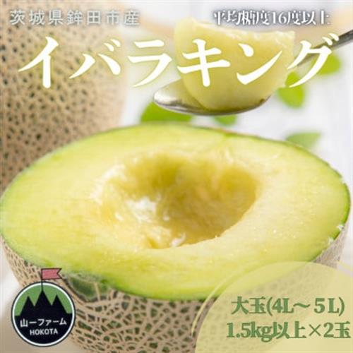【先行受付】令和9年5月順次発送 茨城県オリジナル品種!! イバラキング 4L～5L・2玉【配送不可地域：離島・沖縄】【1590736】