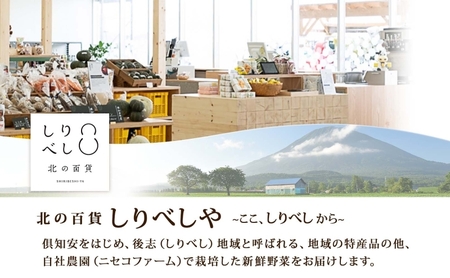 ジンギスカン ゆきだるま ラム 特製たれ 北海道 ジンギスカン【200g×5袋 計1kg】