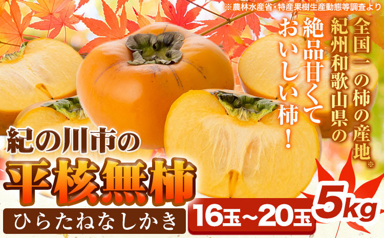 
            柿【先行予約】平核無柿 約5kg (16~20玉) こだまファーム《9月中旬-11月中旬頃出荷》 和歌山県 紀の川市 柿 カキ かき 果物 フルーツ 送料無料
          